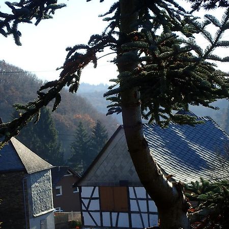 Vakantiehuis Hunsrueck Leisel Bagian luar foto