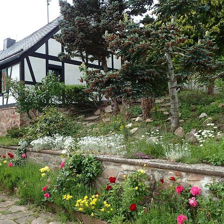Vakantiehuis Hunsrueck Leisel Bagian luar foto