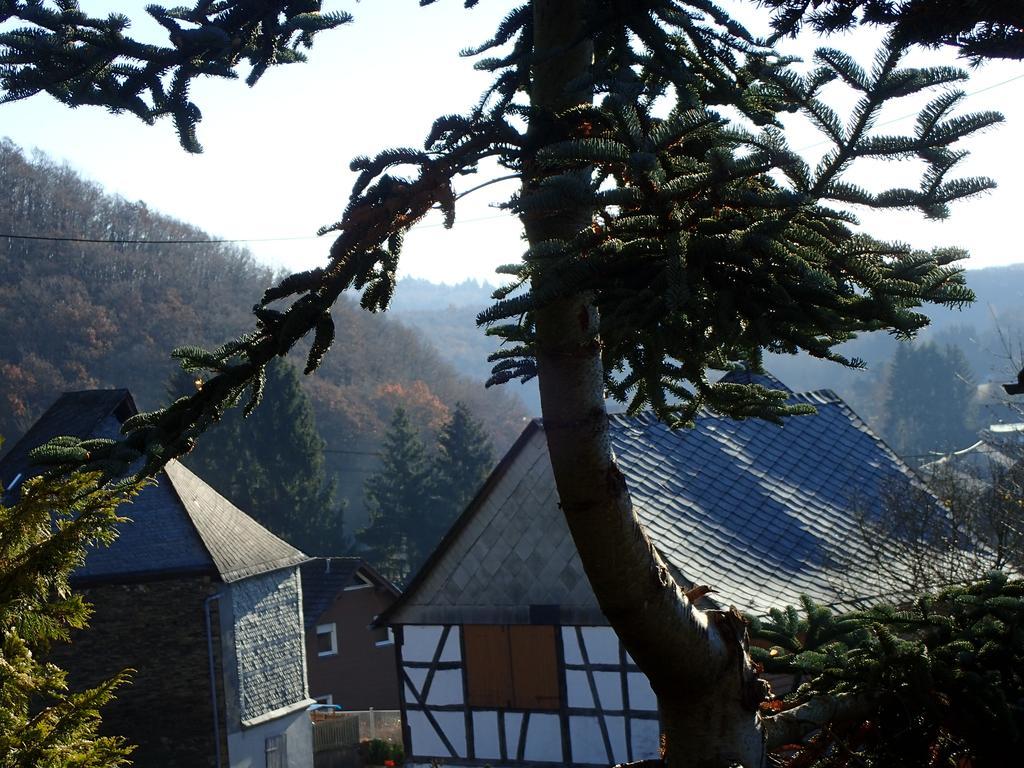 Vakantiehuis Hunsrueck Leisel Bagian luar foto
